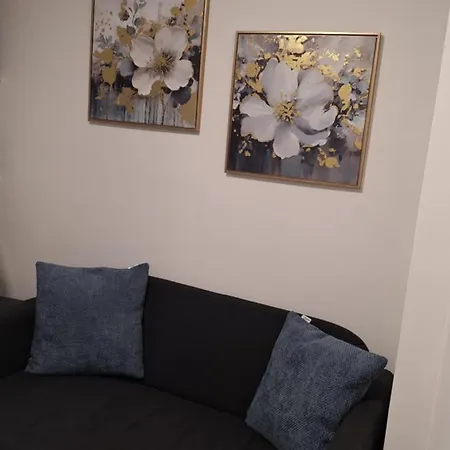 Recanto Da Se - Elegante No Centro Historico Apartment Viseu